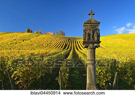 Shrine in vineyards in autumn, Volkach, Lower Franconia, Franconia, Bavaria, Germany, Europe View Large Photo Image Picture - Shrine in vineyards in autumn, Volkach, Lower Franconia, Franconia, Bavaria, Germany, Europe. Fotosearch