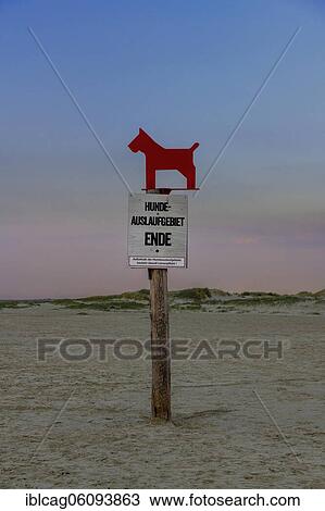Sign dog run area at the beach, St. Peter-Ording, Schleswig-Holstein, Germany, Europe View Large Photo Image Stock Image - Sign dog run area at the beach, St. Peter-Ording, Schleswig-Holstein, Germany, Europe. Fotosearch