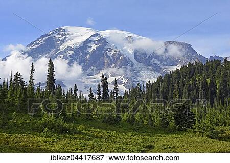 Stock Photo - Snow-capped summit of Mount Rainier, Mount Rainier National Park, Cascade Range, Washington, Pacific Northwest, USA, North America. Fotosearch