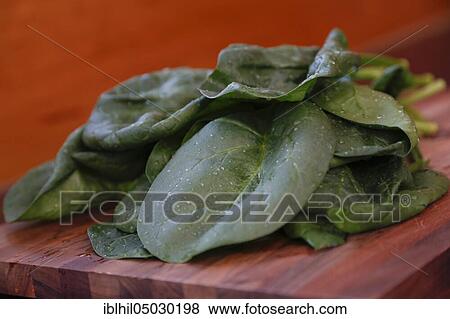 Stock Photo - Spinach on wooden board, Germany, Europe. Fotosearch
