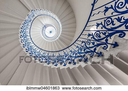 Spiral staircase, Tulip staircase, The Queens House, Greenwich, London, England, Great Britain View Large Photo Image Stock Image - Spiral staircase, Tulip staircase, The Queens House, Greenwich, London, England, Great Britain. Fotosearch