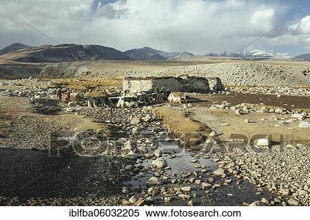 Stock Photography - Stable, barren mountain landscape, two woman drive a group of yaks into the stable, Bozai Gumbaz, Wakhan Corridor, Badakhshan, Afghanistan, Asia. Fotosearch