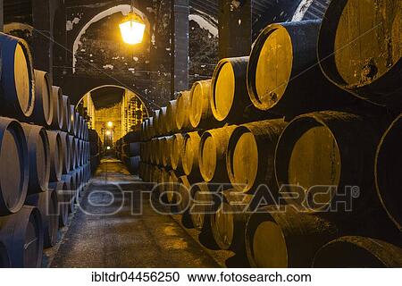 Stacked oak barrels in the wine cellar, winery Bodega Fundador Pedro Domecq, Jerez de la Frontera, Cadiz province, Andalusia, Spain, Europe View Large Photo Image Stock Image - Stacked oak barrels in the wine cellar, winery Bodega Fundador Pedro Domecq, Jerez de la Frontera, Cadiz province, Andalusia, Spain, Europe. Fotosearch
