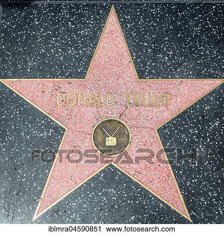 Star Donald Trump on the Walk of Fame, Hollywood Boulevard, Hollywood, Los Angeles, California, USA, North America View Large Photo Image Stock Image - Star Donald Trump on the Walk of Fame, Hollywood Boulevard, Hollywood, Los Angeles, California, USA, North America. Fotosearch