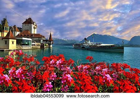 Steam boat with castle Schloss Oberhofen on the Thunersee, behind Bernese alps with Niesen, Canton of Berne, Switzerland, Europe View Large Photo Image Stock Photo - Steam boat with castle Schloss Oberhofen on the Thunersee, behind Bernese alps with Niesen, Canton of Berne, Switzerland, Europe. Fotosearch