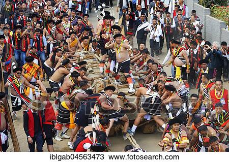 Stone pulling ceremony during Kisima Nagaland Hornbill festival, Kohima, Nagaland, India, Asia View Large Photo Image Stock Image - Stone pulling ceremony during Kisima Nagaland Hornbill festival, Kohima, Nagaland, India, Asia. Fotosearch