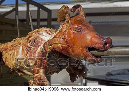 Suckling pig on the spit, Mecklenburg-Western Pomerania, Germany, Europe View Large Photo Image Stock Photograph - Suckling pig on the spit, Mecklenburg-Western Pomerania, Germany, Europe. Fotosearch