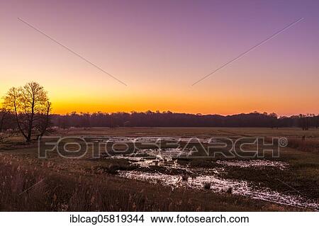 Picture - Sunrise in the Mönchbruch Nature Reserve, Rüsselsheim am Main, Hesse, Germany, Europe. Fotosearch