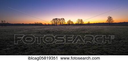 Stock Image - Sunrise in the Mönchbruch Nature Reserve, Rüsselsheim am Main, Hesse, Germany, Europe. Fotosearch