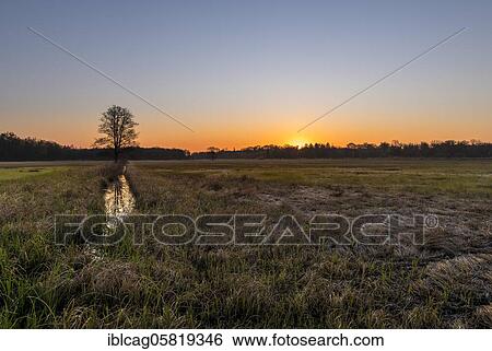 Sunrise in the Mönchbruch Nature Reserve, Rüsselsheim am Main, Hesse, Germany, Europe View Large Photo Image Stock Photograph - Sunrise in the Mönchbruch Nature Reserve, Rüsselsheim am Main, Hesse, Germany, Europe. Fotosearch