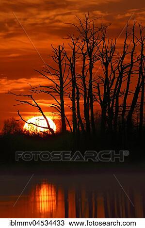 Sunrise over the Peene, natural park Flußlandschaft Peenetal, Mecklenburg-Western Pomerania, Germany, Europe View Large Photo Image Stock Image - Sunrise over the Peene, natural park Flußlandschaft Peenetal, Mecklenburg-Western Pomerania, Germany, Europe. Fotosearch