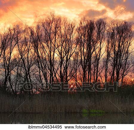 Stock Photography - Sunset over the Peene, natural park river Flußlandschaft Peenetal, Mecklenburg-Western Pomerania, Germany, Europe. Fotosearch