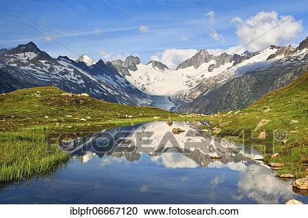 Swiss Alps (m) Summer, Oberaar glacier, Oberaarhorn, 3638 m, Finsteraarhorn, 4274m, Bernese Oberland, Bern, Switzerland, Europe View Large Photo Image Stock Image - Swiss Alps (m) Summer, Oberaar glacier, Oberaarhorn, 3638 m, Finsteraarhorn, 4274m, Bernese Oberland, Bern, Switzerland, Europe. Fotosearch