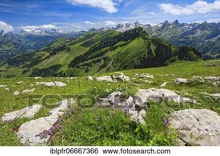 Stock Photograph - Swiss Alps with Chaiserstock, Fulen and Rossstock, Switzerland, Europe. Fotosearch