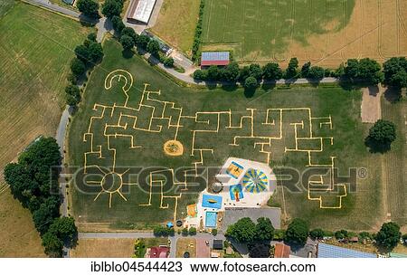 Terhardt corn maze, children's playground, Heidkantweg 90, labyrinth, Haltern am See, Ruhr area, North Rhine-Westphalia, Germany, Europe View Large Photo Image Stock Image - Terhardt corn maze, children's playground, Heidkantweg 90, labyrinth, Haltern am See, Ruhr area, North Rhine-Westphalia, Germany, Europe. Fotosearch