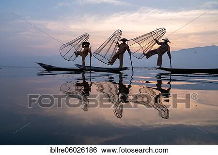 Three traditional fishermen pose standing on their small boats, at sunrise, Lake Inle, Myanmar, Asia View Large Photo Image Stock Photograph - Three traditional fishermen pose standing on their small boats, at sunrise, Lake Inle, Myanmar, Asia. Fotosearch