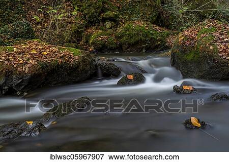 Torrent, Strohner Switzerland in autumn, Vulkaneifel, Rhineland-Palatinate, Germany, Europe View Large Photo Image Stock Photo - Torrent, Strohner Switzerland in autumn, Vulkaneifel, Rhineland-Palatinate, Germany, Europe. Fotosearch