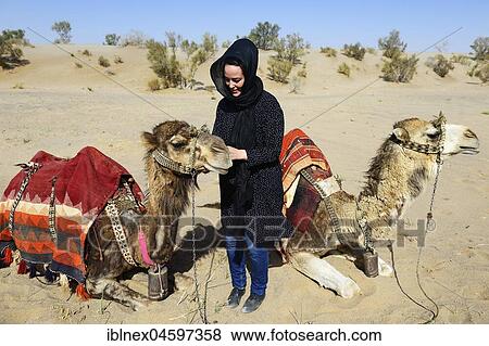 Tourist with resting camels on camel tour, desert Wadi Rum, near Matinabad, Iran, Asia View Large Photo Image Stock Photo - Tourist with resting camels on camel tour, desert Wadi Rum, near Matinabad, Iran, Asia. Fotosearch