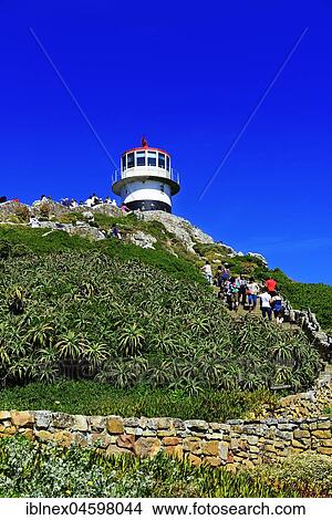 Tourists at the vantage point with lighthouse, Cape Point, Cape of Good Hope, Table Mountain National Park, Cape Peninsula, Western Cape, South Africa, Africa View Large Photo Image Picture - Tourists at the vantage point with lighthouse, Cape Point, Cape of Good Hope, Table Mountain National Park, Cape Peninsula, Western Cape, South Africa, Africa. Fotosearch