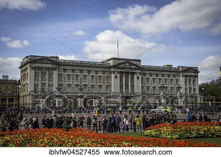 Tourists in front of Buckingham Palace, Westminster, London, England, United Kingdom, Europe View Large Photo Image Stock Photography - Tourists in front of Buckingham Palace, Westminster, London, England, United Kingdom, Europe. Fotosearch