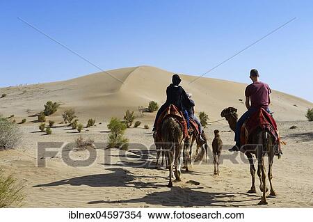 Picture - Tourists ride on camels, camel tour, Wadi Rum desert, near Matinabad, Iran, Asia. Fotosearch