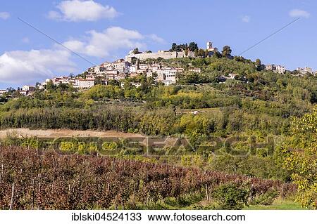 Townscape with vineyards, Motovun, Istria, Croatia, Europe View Large Photo Image Stock Image - Townscape with vineyards, Motovun, Istria, Croatia, Europe. Fotosearch