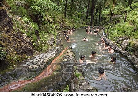 Tree ferns (Cyatheales), people bathe in a natural pool with sulphurous water from thermal springs, Caldeira Velha, island of Sao Miguel, Azores, Portugal, Europe View Large Photo Image Stock Photograph - Tree ferns (Cyatheales), people bathe in a natural pool with sulphurous water from thermal springs, Caldeira Velha, island of Sao Miguel, Azores, Portugal, Europe. Fotosearch