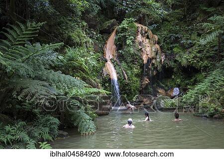 Tree ferns (Cyatheales), waterfall, people bathing in a natural swimming pool with sulphurous water, Caldeira Velha, island of Sao Miguel, Azores, Portugal, Europe View Large Photo Image Stock Image - Tree ferns (Cyatheales), waterfall, people bathing in a natural swimming pool with sulphurous water, Caldeira Velha, island of Sao Miguel, Azores, Portugal, Europe. Fotosearch