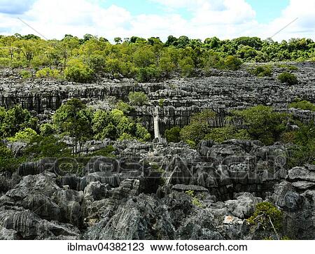 Tsingy de Ankarana National Park, karst landscape with Jurassic era limestone, Ankarana Reserve, Madagascar, Africa View Large Photo Image Stock Image - Tsingy de Ankarana National Park, karst landscape with Jurassic era limestone, Ankarana Reserve, Madagascar, Africa. Fotosearch
