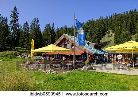 Upper Maxlrainer Alm, Taubenstein, Spitzingsee area, Alps, Mangfall mountains, Upper Bavaria, Bavaria, Germany, Europe View Large Photo Image Stock Image - Upper Maxlrainer Alm, Taubenstein, Spitzingsee area, Alps, Mangfall mountains, Upper Bavaria, Bavaria, Germany, Europe. Fotosearch