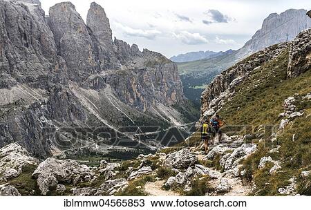 Stock Image - Val Gardena, Passo Gardena, Gardena Pass, nature park Park Puez-Geisler, Dolomites, Selva di Val Gardena, South Tyrol, Trentino-Alto Adige, Val Gardena, Italy, Europe. Fotosearch
