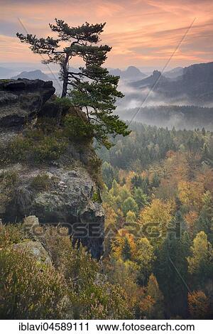 Stock Image - View from the Kleines Winterberg at sunrise in autumn, morning mist, rock pine, Elbe Sandstone Mountains, Saxon Switzerland National Park, Saxony, Germany, Europe. Fotosearch