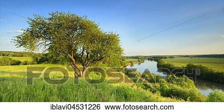 Stock Photograph - View of the river Saale, Natural Park Unteres Saaletal, near Wettin, Saxony-Anhalt, Germany, Europe. Fotosearch
