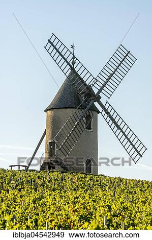Stock Photo - Vineyard, Moulin-a-Vent, Beaujolais wine growing area, Rhone and Saône-et-Loire, France, Europe. Fotosearch