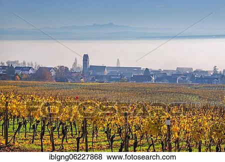 Vineyard with a view of the village, lake and Alps, Hagnau, Lake Constance, Baden-Württemberg, Germany, Europe View Large Photo Image Stock Photo - Vineyard with a view of the village, lake and Alps, Hagnau, Lake Constance, Baden-Württemberg, Germany, Europe. Fotosearch