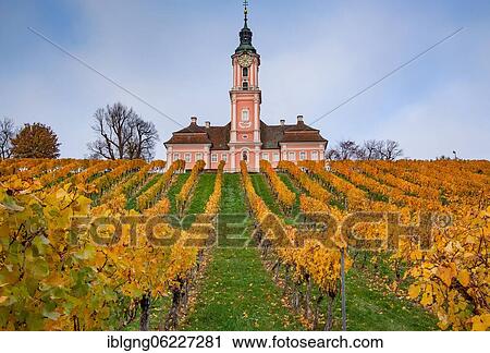 Vineyard with the pilgrimage church of Birnau, Lake Constance, Upper Swabian Baroque Road, Baden-Württemberg, Germany, Europe View Large Photo Image Stock Image - Vineyard with the pilgrimage church of Birnau, Lake Constance, Upper Swabian Baroque Road, Baden-Württemberg, Germany, Europe. Fotosearch