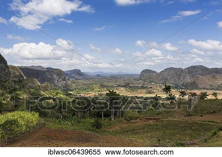 Stock Photography - Viñales valley with rocky hills, Pinar del Rio province, Cuba, Central America. Fotosearch