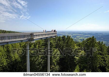 Waldwipfelweg, Maibrunn near Sankt Englmar, Bavarian Forest, Lower Bavaria, Bavaria, Germany, Europe View Large Photo Image Picture - Waldwipfelweg, Maibrunn near Sankt Englmar, Bavarian Forest, Lower Bavaria, Bavaria, Germany, Europe. Fotosearch