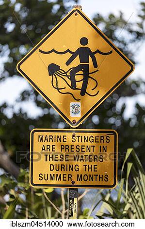 Warning sign on the beach, jellyfish in the water, Daintree National Park, Queensland, Australia, Oceania View Large Photo Image Stock Image - Warning sign on the beach, jellyfish in the water, Daintree National Park, Queensland, Australia, Oceania. Fotosearch