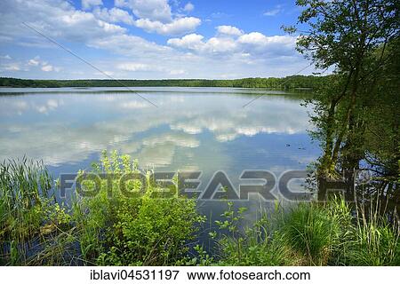 Stock Photo - Warnker See, Müritz National Park, Mecklenburg-Western Pomerania, Germany, Europe. Fotosearch