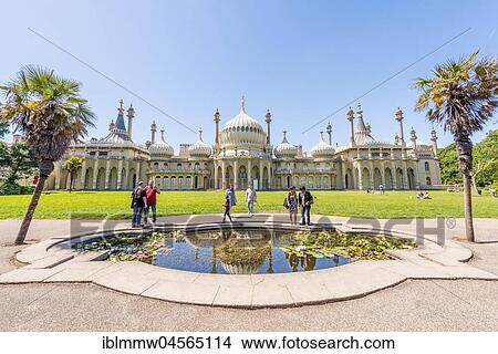 Water lilies in a small pond in front of Royal Pavilion Palace, Brighton, East Sussex, England, Great Britain View Large Photo Image Picture - Water lilies in a small pond in front of Royal Pavilion Palace, Brighton, East Sussex, England, Great Britain. Fotosearch