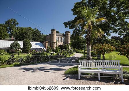 White bench and palm tree in front of the arched building, Botanical garden in Karlsruhe Palace Gardens, Karlsruhe, Upper Swabia, Baden-Württemberg, Germany, Europe View Large Photo Image Stock Photo - White bench and palm tree in front of the arched building, Botanical garden in Karlsruhe Palace Gardens, Karlsruhe, Upper Swabia, Baden-Württemberg, Germany, Europe. Fotosearch