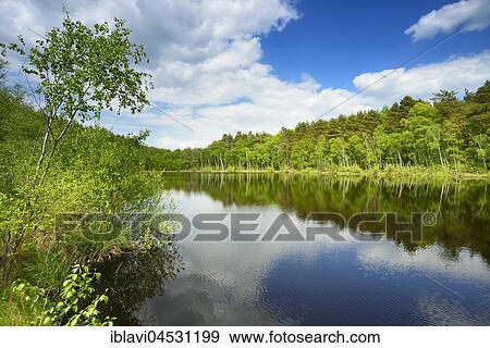 Stock Photo - Wienpietschseen, Müritz National Park, Mecklenburg-Western Pomerania, Germany, Europe. Fotosearch