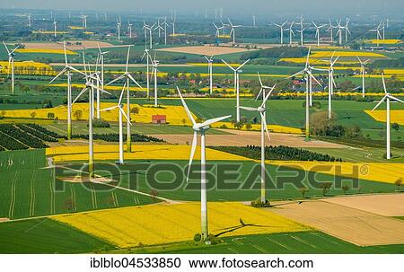 Stock Image - Wind park on the Haarstrang, wind power plants, wind turbines, regenerative energy, rape fields on the city boundaries between Warstein-Belecke and Anröchte-Erwitte, green grain fields, yellow rape fields, agriculture, aerial photo, Warstein, Sauerland, N. Fotosearch