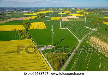 Wind park, wind energy plant, alternative energy, Haarstrang near Rüthen, rape fields on the city boundaries between Rüthen, Warstein-Belecke and Anröchte, agriculture, old barn, fields, meadows, farmland, aerial photo, Rüthen, Sauerland, North Rhine-West View Large Photo Image Stock Photo - Wind park, wind energy plant, alternative energy, Haarstrang near Rüthen, rape fields on the city boundaries between Rüthen, Warstein-Belecke and Anröchte, agriculture, old barn, fields, meadows, farmland, aerial photo, Rüthen, Sauerland, North Rhine-West. Fotosearch