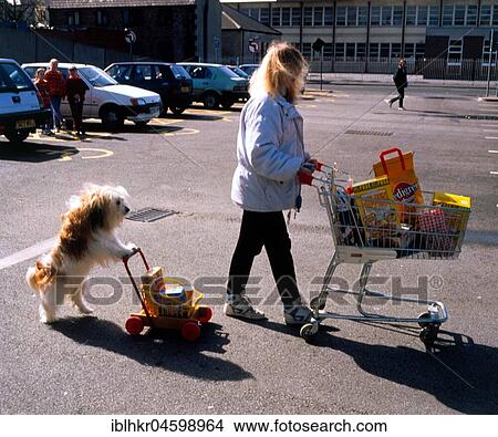 Woman and dog with shopping cart, England, Great Britain View Large Photo Image Picture - Woman and dog with shopping cart, England, Great Britain. Fotosearch