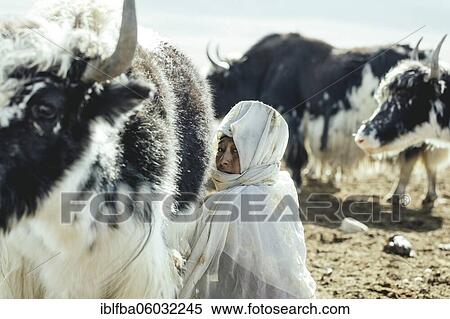 Woman milking a yak, Kyrgyz nomads, Bozai Gumbaz, Wakhan Corridor, Badakhshan, Afghanistan, Asia View Large Photo Image Stock Photography - Woman milking a yak, Kyrgyz nomads, Bozai Gumbaz, Wakhan Corridor, Badakhshan, Afghanistan, Asia. Fotosearch