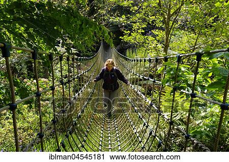 Woman on Burma suspension bridge in the Jungle, The Lost Gardens of Heligan, near St Austell, Cornwall, England, United Kingdom, Europe View Large Photo Image Stock Image - Woman on Burma suspension bridge in the Jungle, The Lost Gardens of Heligan, near St Austell, Cornwall, England, United Kingdom, Europe. Fotosearch