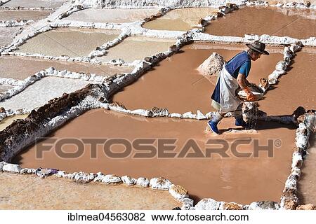 Woman works in terraces for salt extraction, Salinas de Maras, Valle Sagrado, Urubamba, Peru, South America View Large Photo Image Stock Image - Woman works in terraces for salt extraction, Salinas de Maras, Valle Sagrado, Urubamba, Peru, South America. Fotosearch