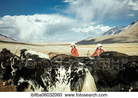Women with yaks, Kyrgyz nomads, Bozai Gumbaz, Wakhan Corridor, Badakhshan, Afghanistan, Asia View Large Photo Image Stock Image - Women with yaks, Kyrgyz nomads, Bozai Gumbaz, Wakhan Corridor, Badakhshan, Afghanistan, Asia. Fotosearch